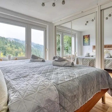 Apartmán Grosse Am Wald Mit Aussicht, Sauna, Kaminofen, Grill Triberg im Schwarzwald