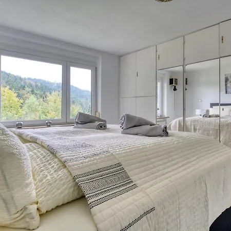Apartmán Grosse Am Wald Mit Aussicht, Sauna, Kaminofen, Grill Triberg im Schwarzwald